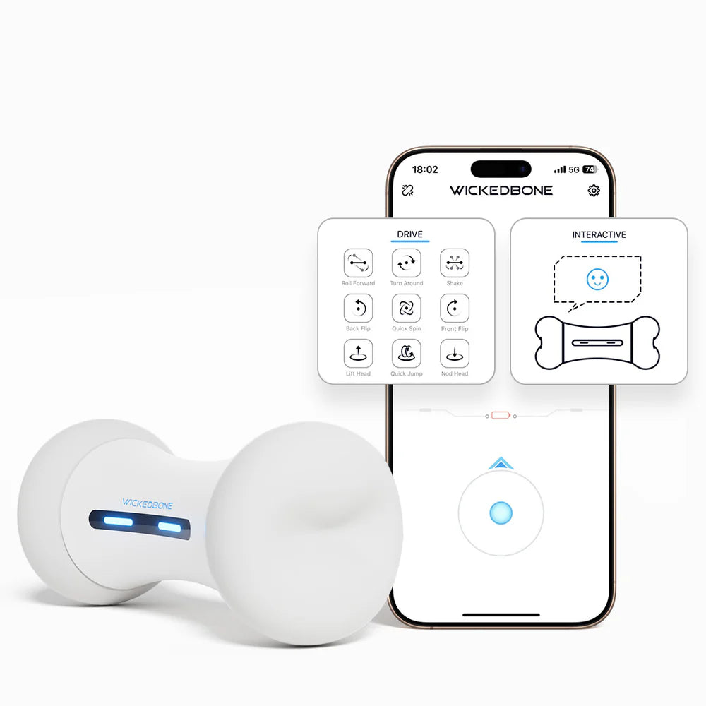 Wickedbone – Interaktives Smart-Spielzeug für Hunde