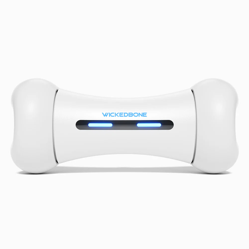 Wickedbone – Interaktives Smart-Spielzeug für Hunde