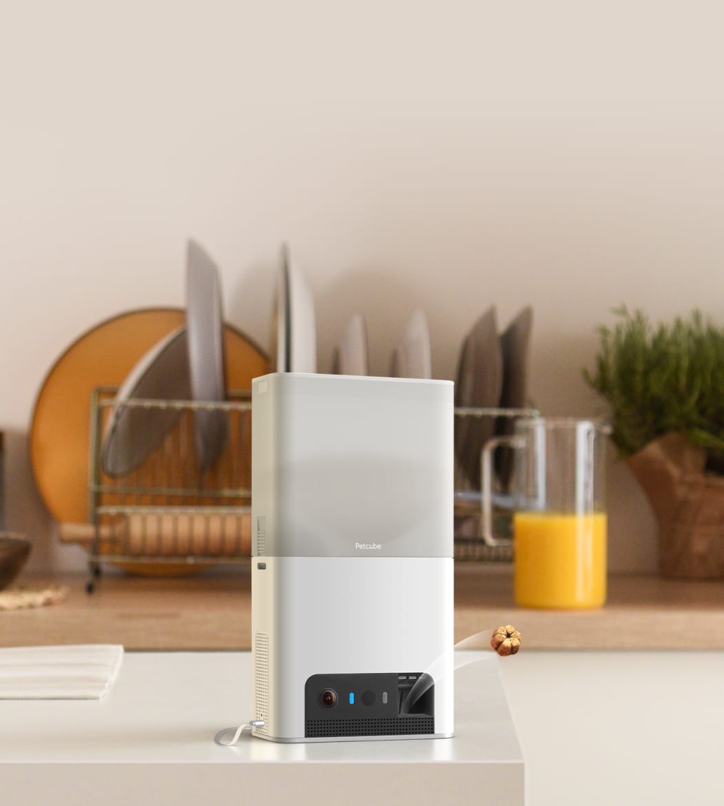 Petcube Bites 2 Lite interaktive Haustierüberwachungskamera, WiFi, 1080p, mit Leckerlie-Spender smarte Haustierkamera