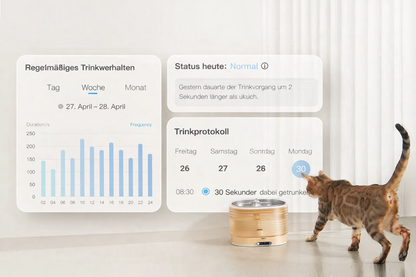 Intelligenter Trinkbrunnen für Hunde & Katzen – App-Überwachung, kabellos & ultraleise