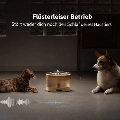 Intelligenter Trinkbrunnen für Hunde & Katzen – App-Überwachung, kabellos & ultraleise