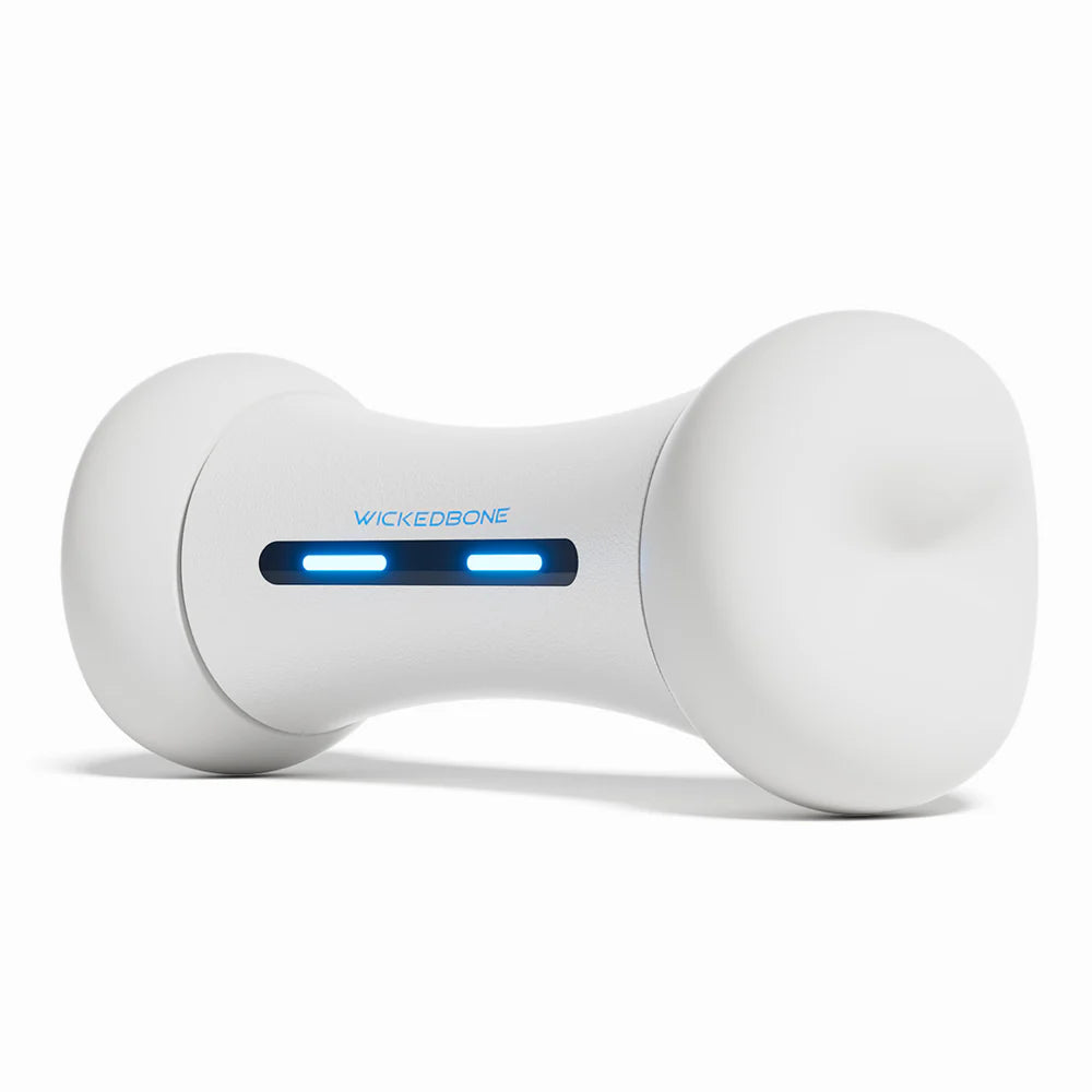 Wickedbone – Interaktives Smart-Spielzeug für Hunde