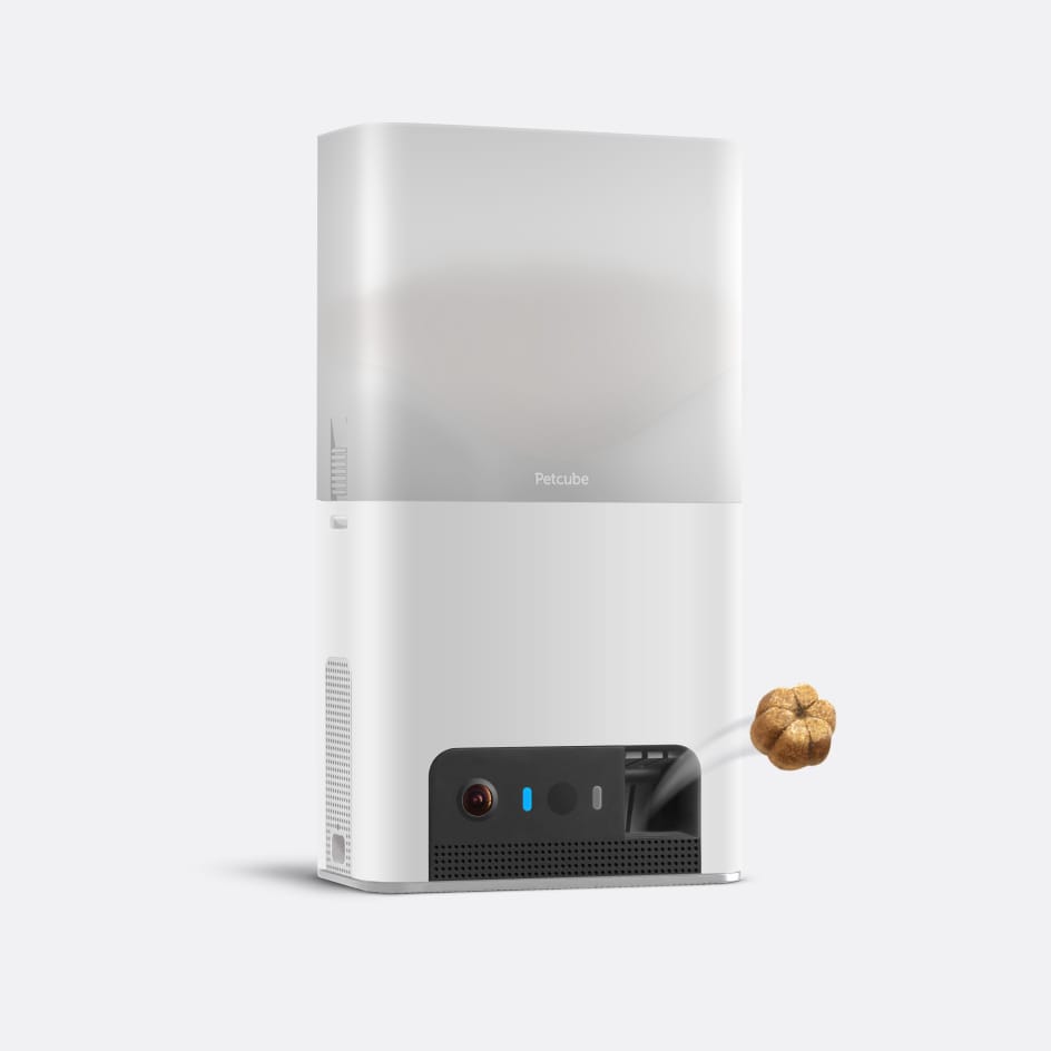 Petcube Bites 2 Lite interaktive Haustierüberwachungskamera, WiFi, 1080p, mit Leckerlie-Spender smarte Haustierkamera